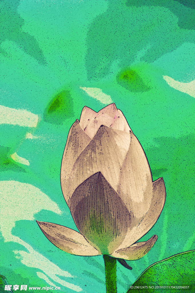 插画