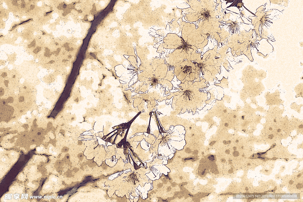 插画
