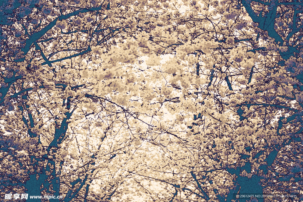 插画