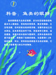 水族馆科普