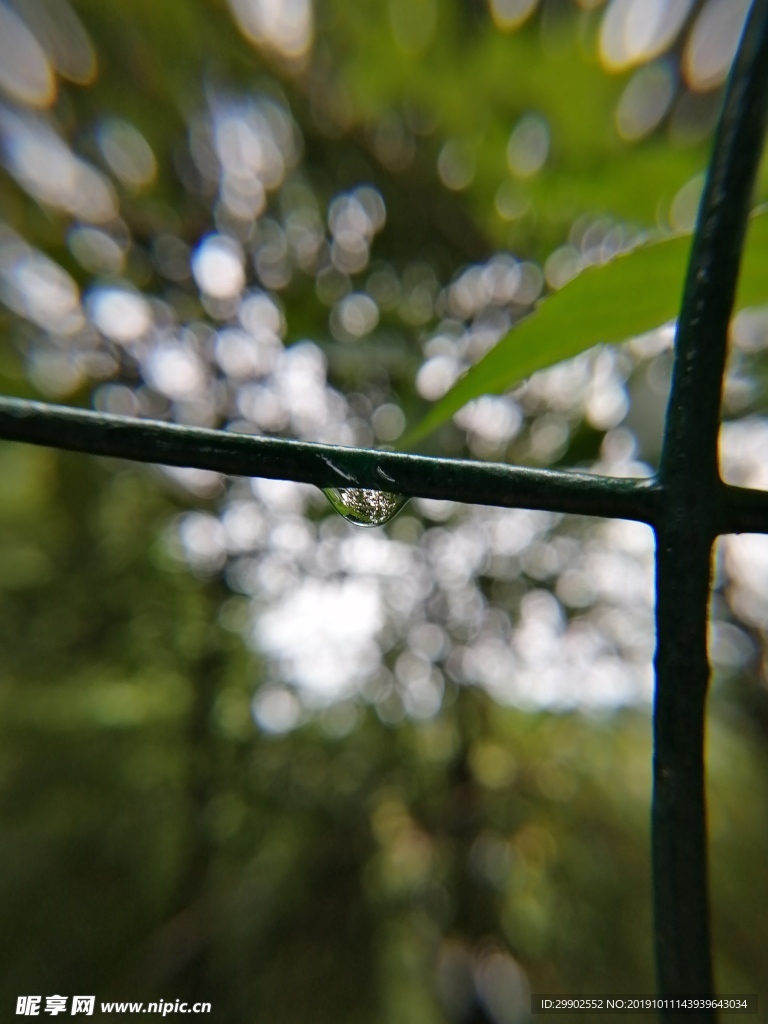水滴