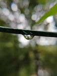 水滴