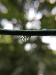 水滴