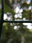 水滴