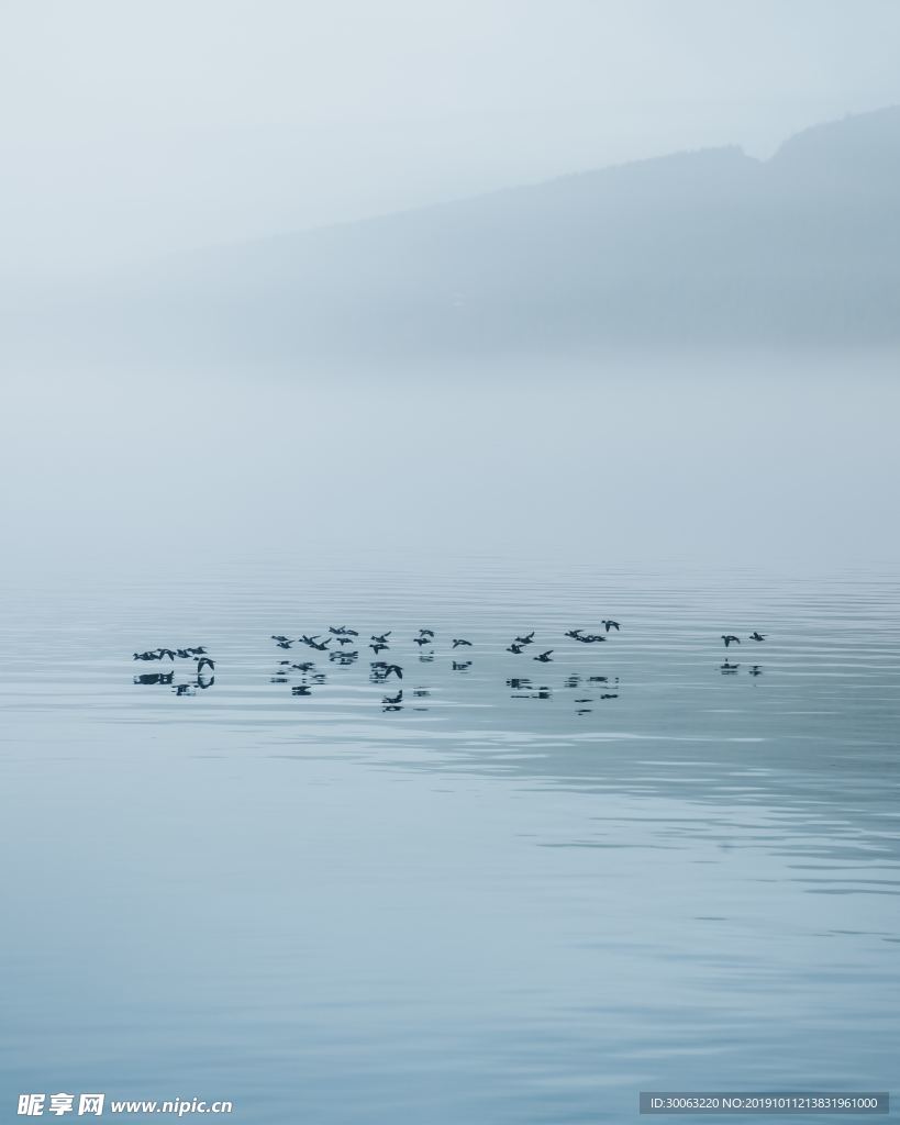 大海