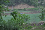 田地
