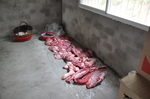 猪肉