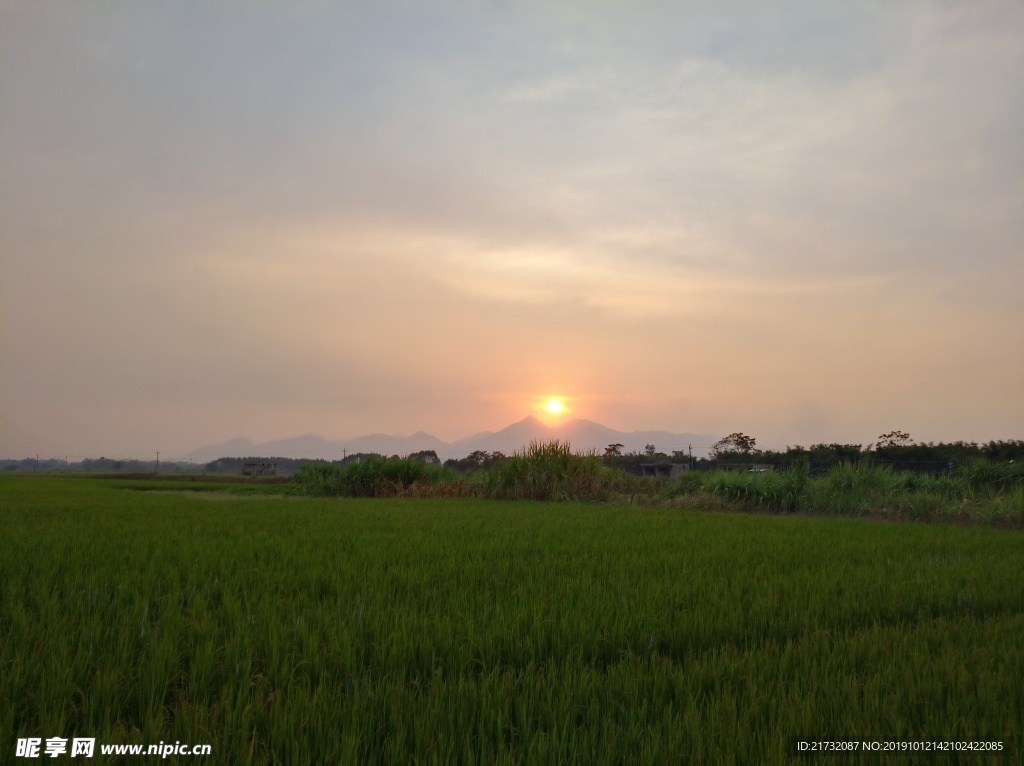 农田夕阳景观