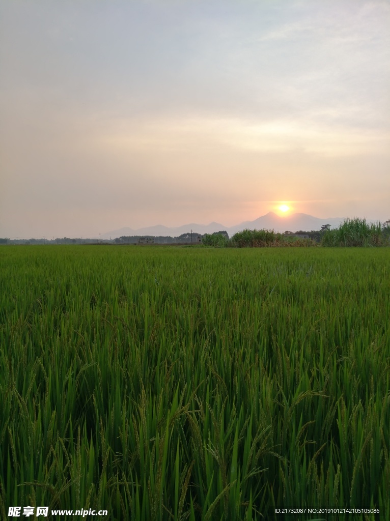 农田夕阳景观