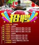 火锅招聘