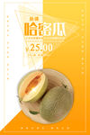 新疆哈密瓜