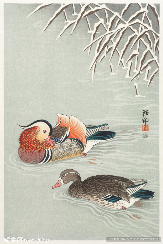鸳鸯