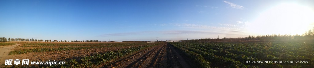 秋天 丰收 蓝天 机器 田地