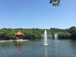 湖水喷泉
