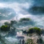 紫鹊界春