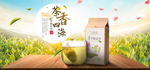绿茶海报