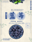 蓝莓