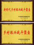 新时代铜牌
