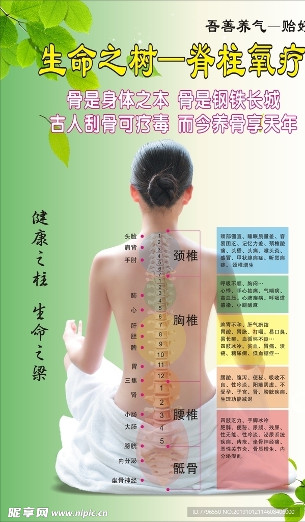 肩颈