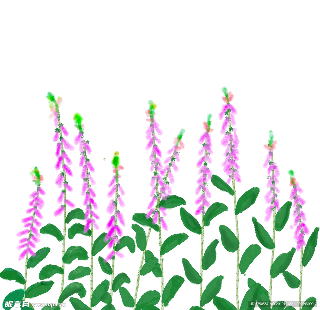 手绘淡彩植物
