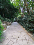 小路