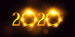 2020金色字体