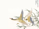 花鸟