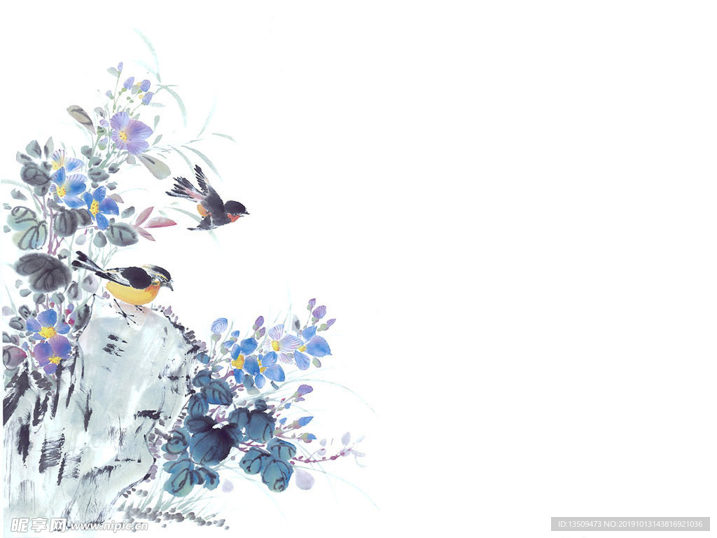 花鸟