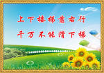 学校安全标语