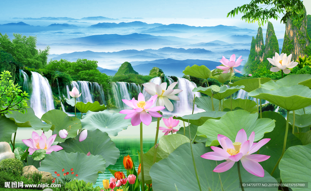 国画荷花