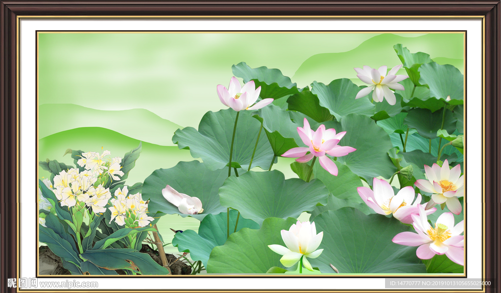 国画荷花
