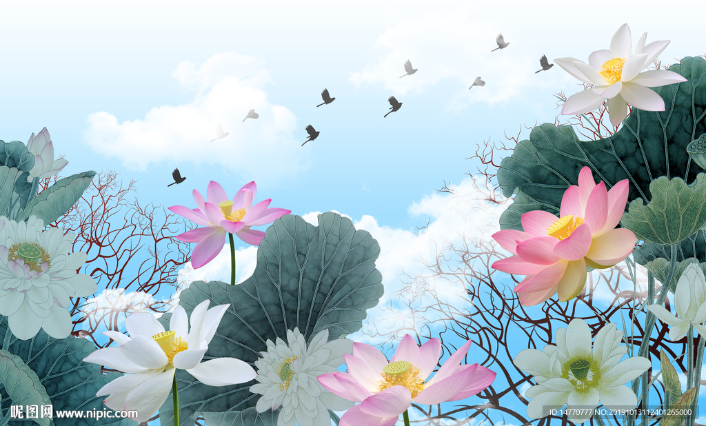 国画荷花