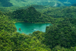 森林湖景