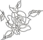花矢量图