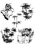 竹子 竹叶