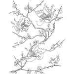 蝴蝶 花
