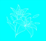 花矢量图