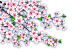 中国风传统花朵