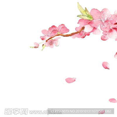 中国风传统花朵