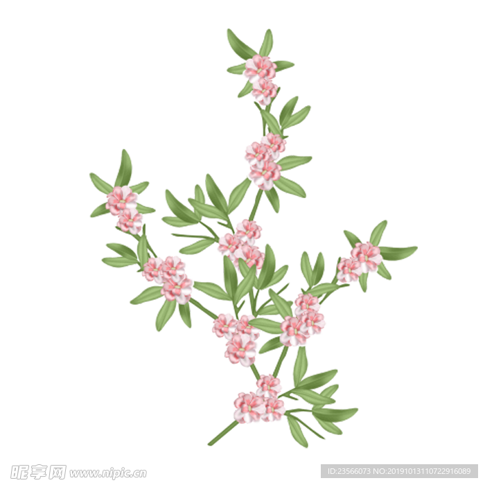 中国风传统花朵