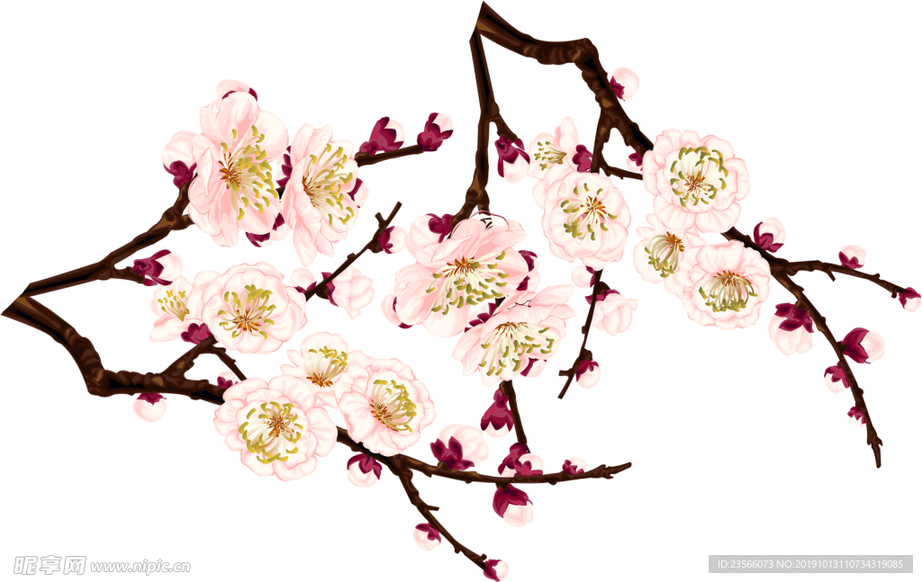 中国风传统花朵