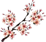 桃花树枝古风图案