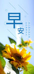 小清新早安