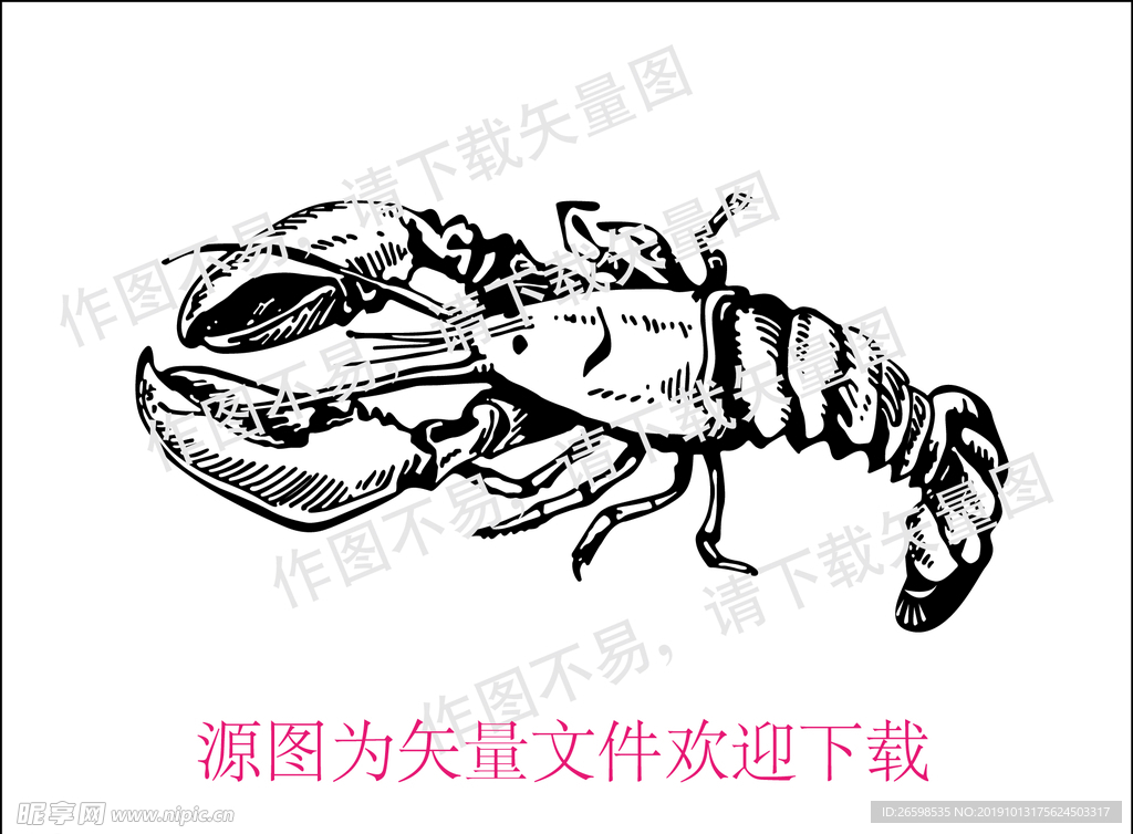 矢量龙虾线描