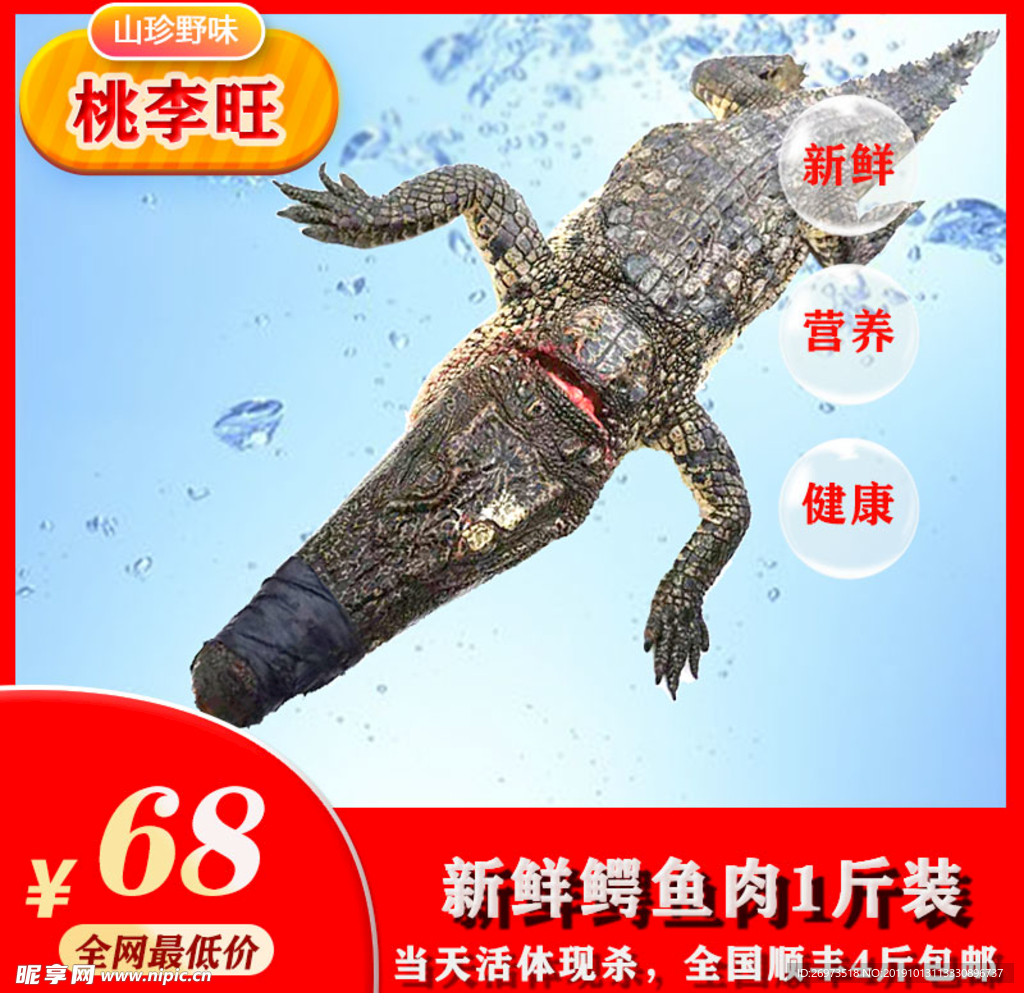 鳄鱼肉