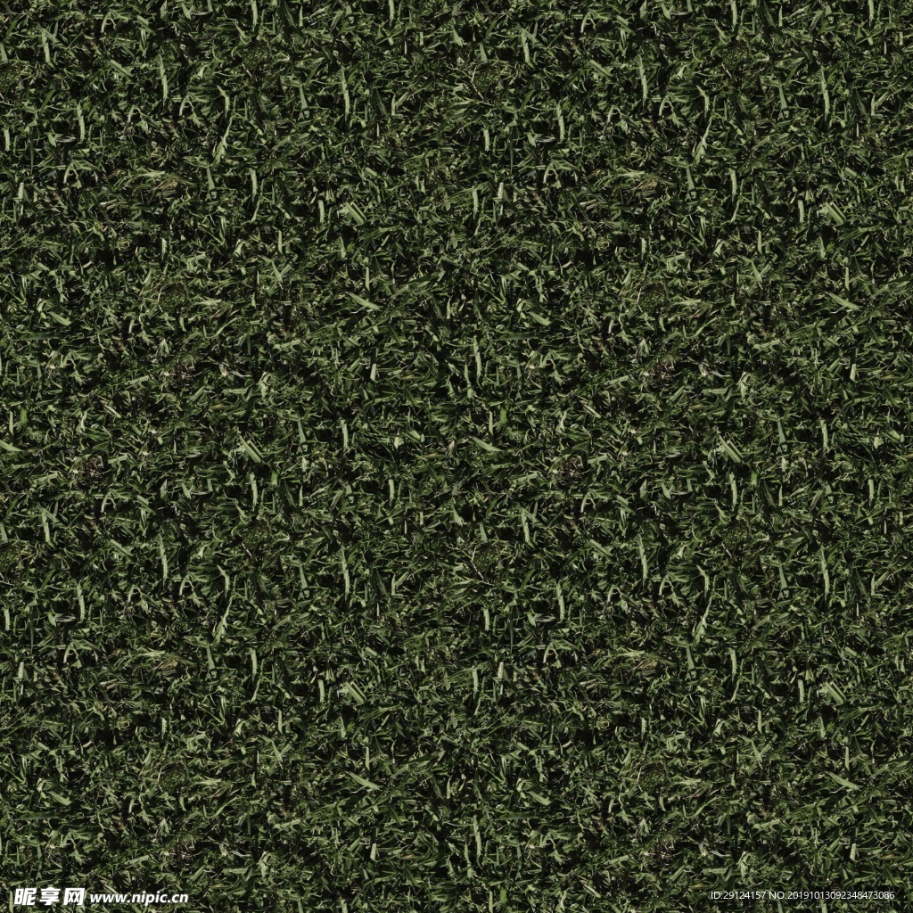 草地