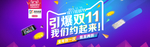 双11