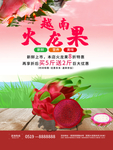 火龙果