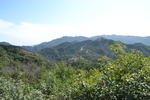 山头