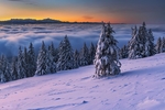 大雪森林天空云彩风景
